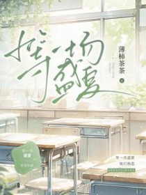 等一场盛夏 等一场盛夏